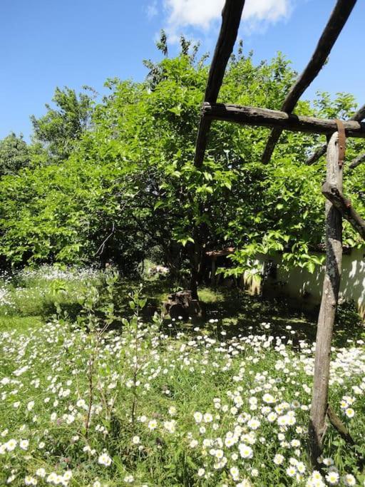 A Lovely House In Vipava Valley 外观 照片